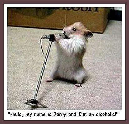 funny_animals5_FUNNY_ANIMALS-s414x399-15596-580.webp