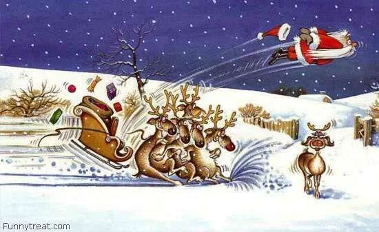 funny_christmas_pictures_14.webp