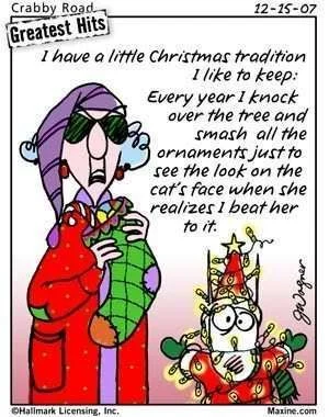FunnyChristmas.webp