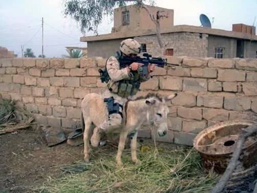 funnymilitary4.webp