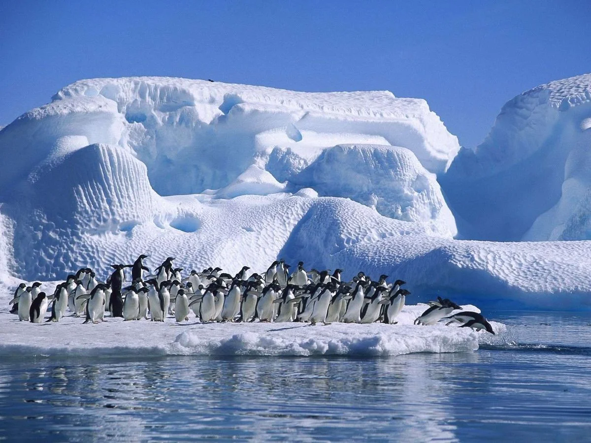 garcya.us_nature_is_amazing-5.webp
