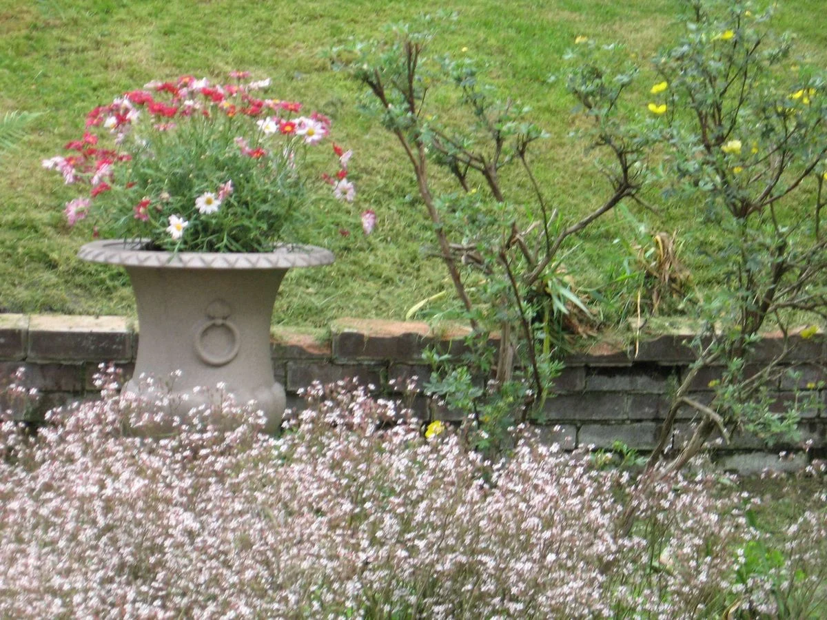 Garden 3. June 12.webp