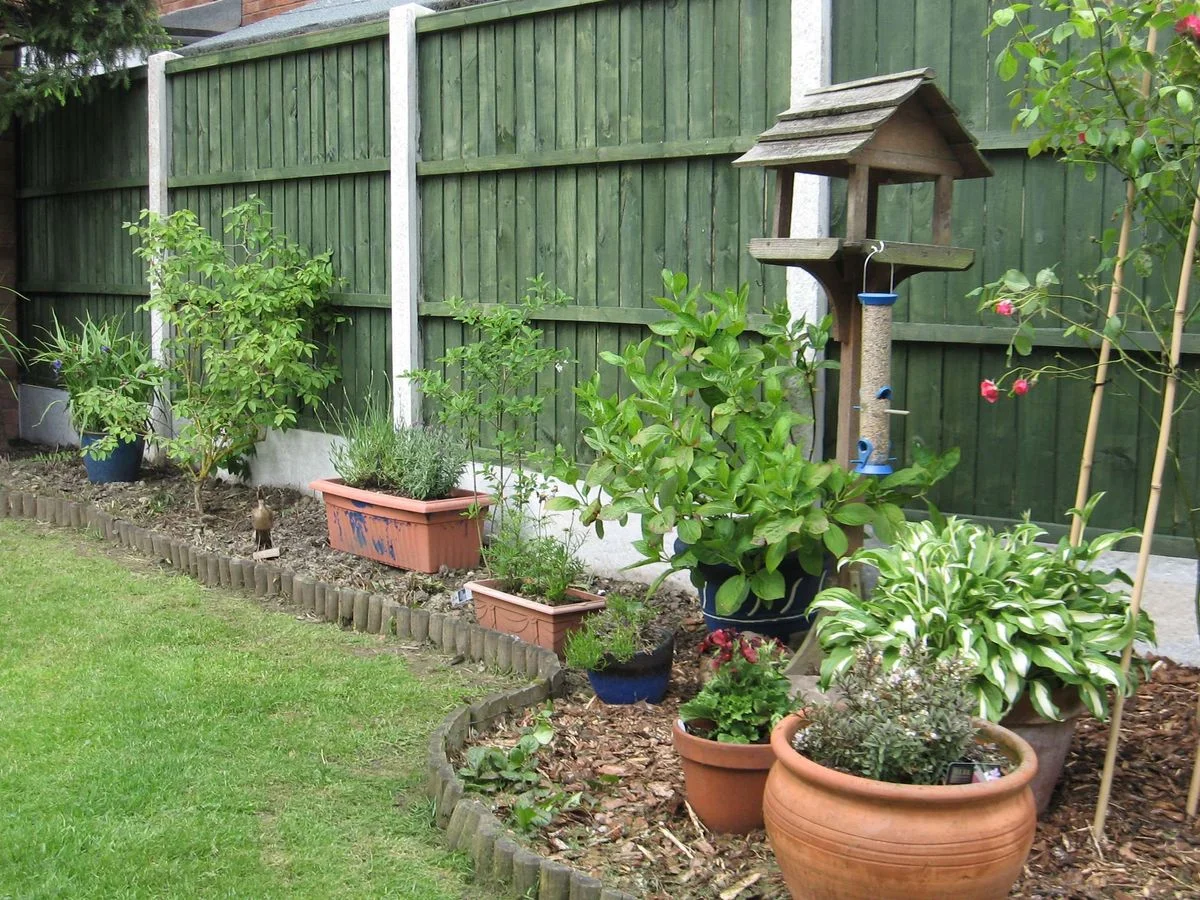Garden 4. June 12.webp