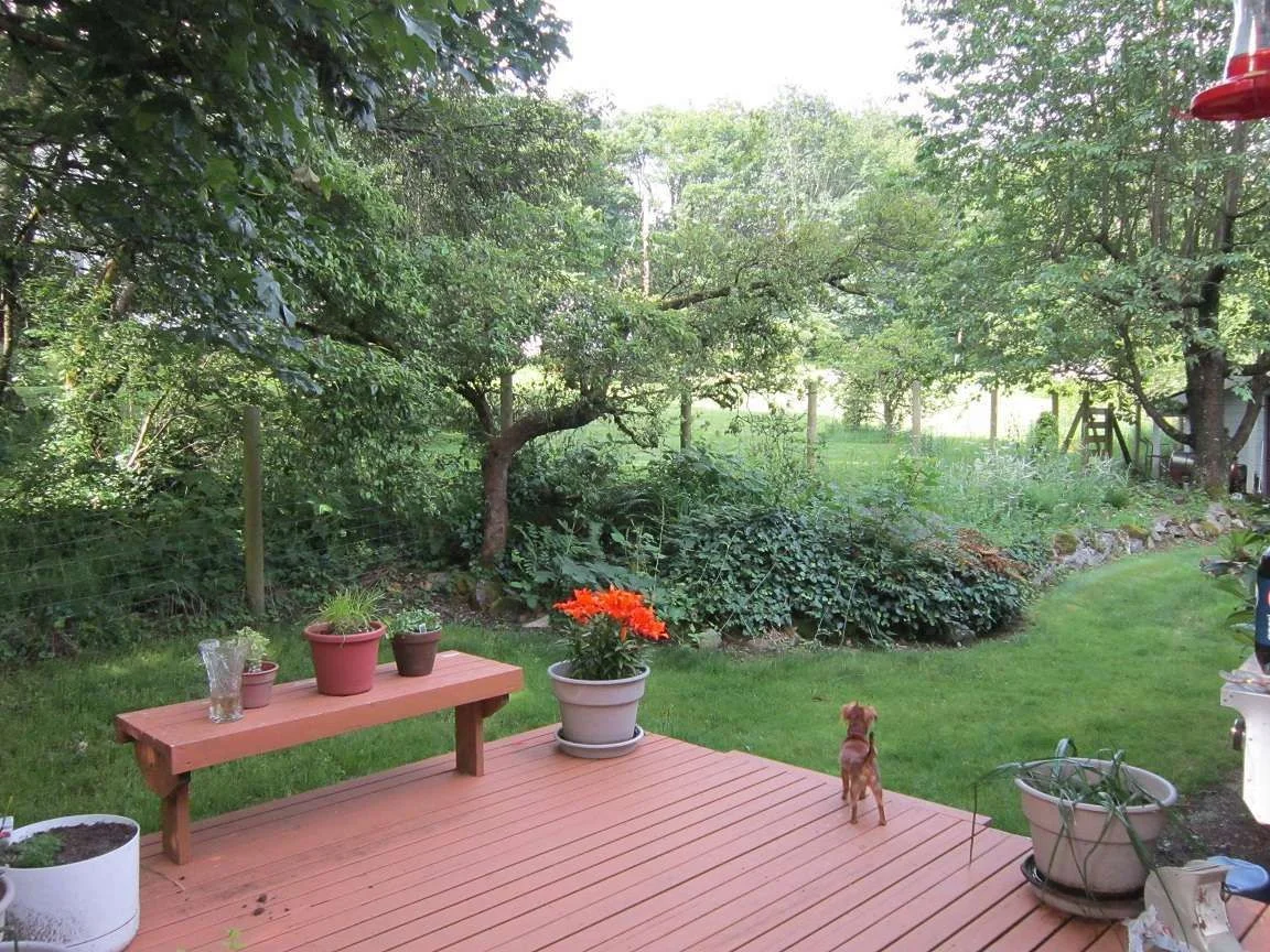 Garden.webp