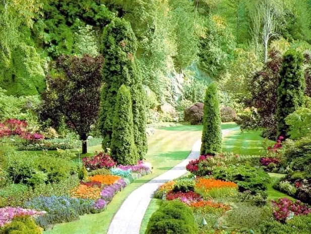 garden with path.webp