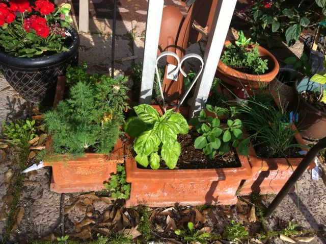 Garden1.webp