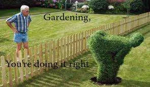 Gardening.webp