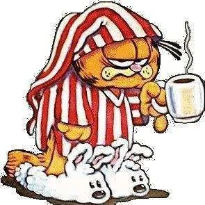 Garfield\'s Tired.webp
