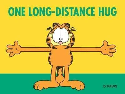 garfieldhug3.webp