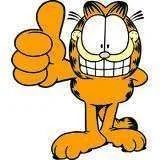 garfieldthumbsup.webp
