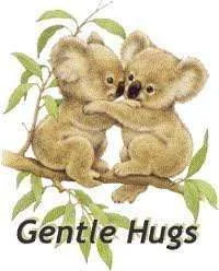 Gentle hugs koala.webp