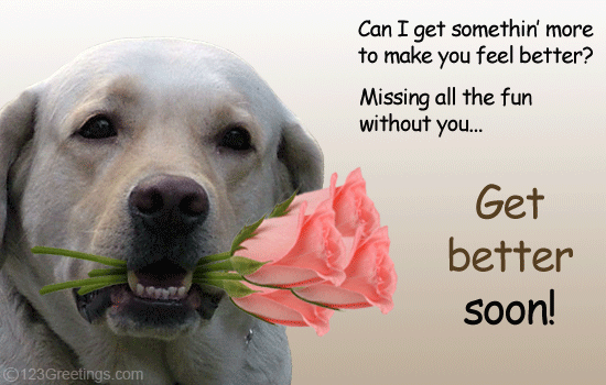 Get Better Soon.gif