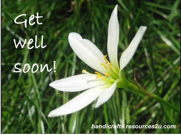 get well soon daisy.webp