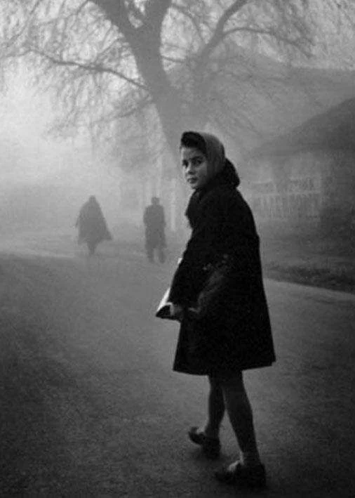 girl in the mist.webp