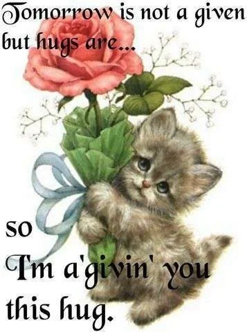 givin_you_this_hug-1617.webp