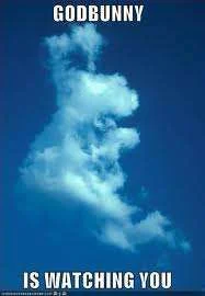 god bunny.webp