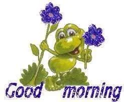 Good Morning Frog 2.webp