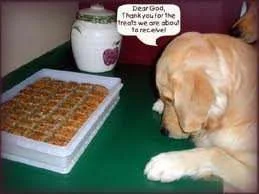goodies we will recieve.webp