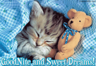 goodnight10cn9.gif