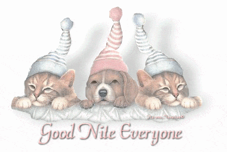 goodnight20zd3 sleep hats and puppies.gif