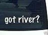 got river.webp