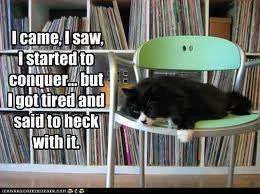 got tired.webp