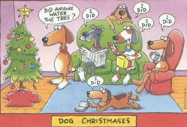 graphics-christmas-humor-485304.webp