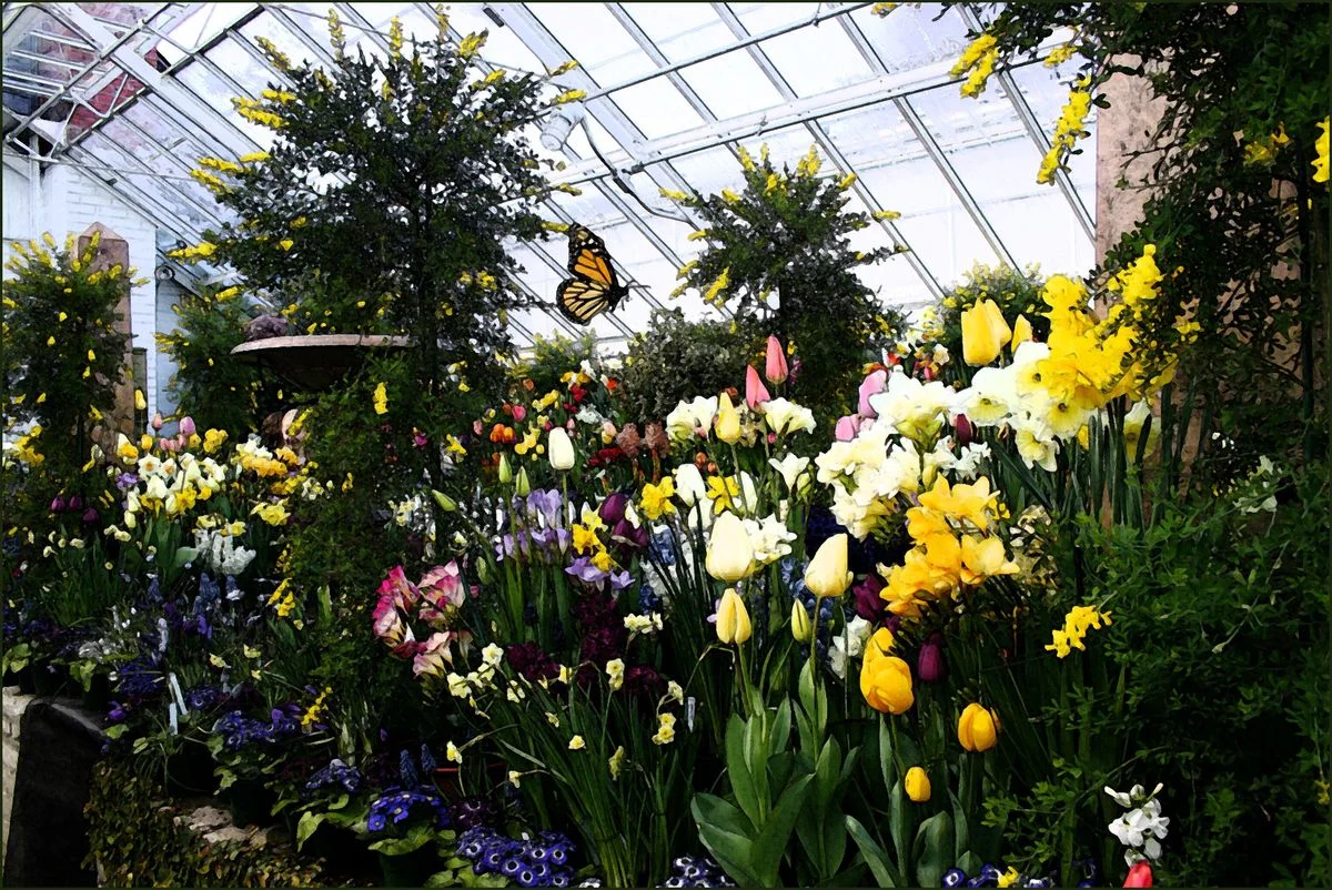 greenhouse.webp
