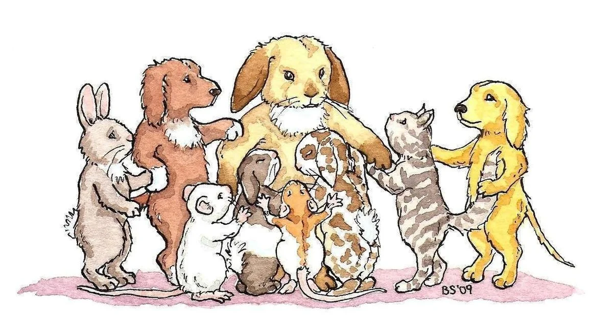 group-hug-animals.webp