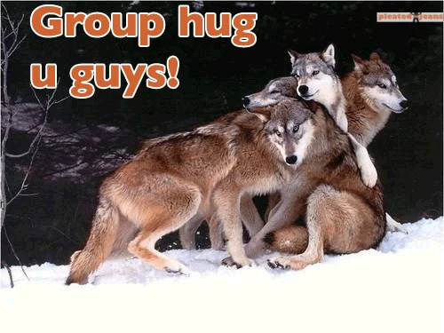 group-hug-wolves.webp