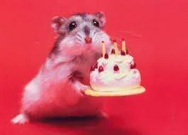 hammie cake.webp
