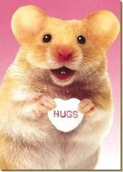 hamsterhug.webp