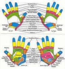 Hand Reflexology.webp