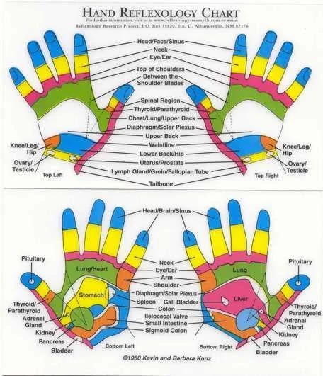 handchart.webp