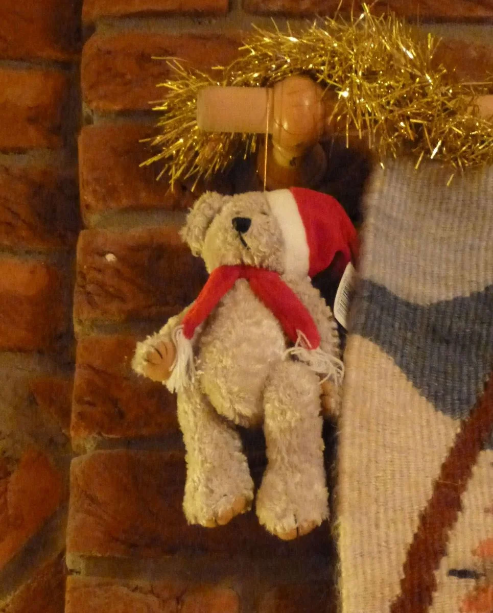 Hanging Ted.webp
