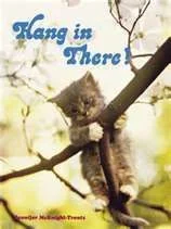 hanginthere.webp
