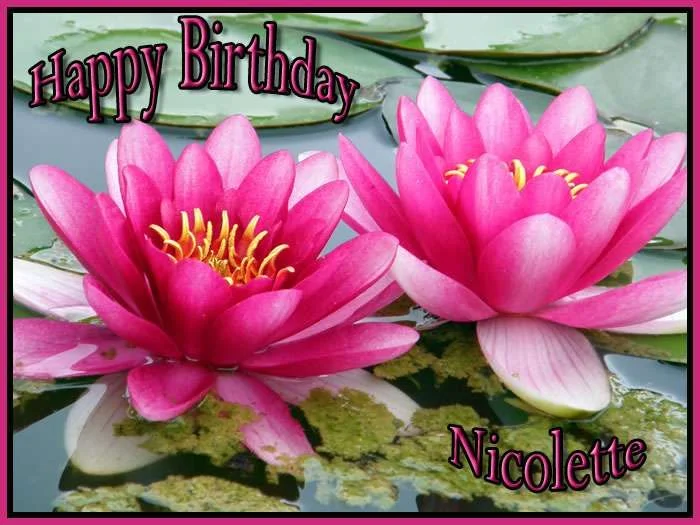 Happy Birthday Nicolette.webp
