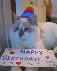 happy birthday.webp