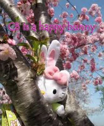 happy bunny.webp