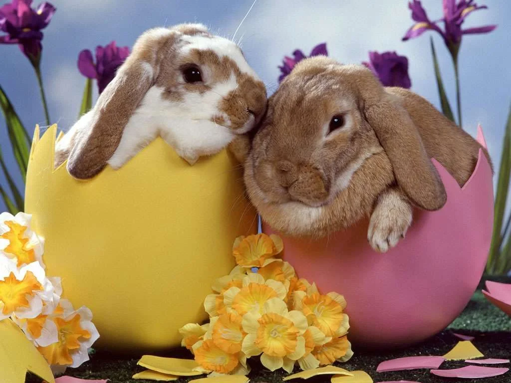 happy-easter.webp