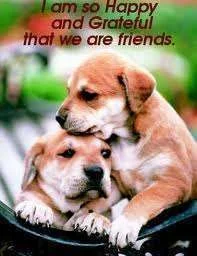 Happy we are friends.webp