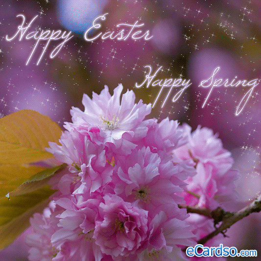 happyeasterhappyspring.gif
