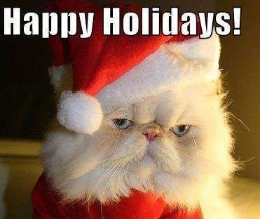 happyxmas2007cat.webp