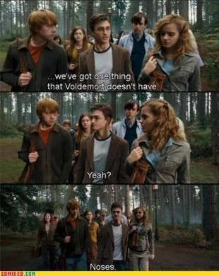 Harry-Potter-Funny-harry-potter-22756744-310-390_large.webp