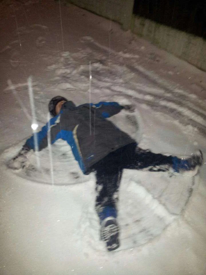 harry snow angel.webp