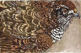 Hawk head.webp