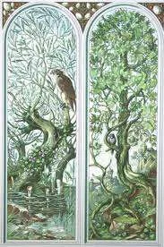 Hawk in tree.webp