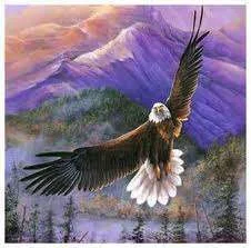 Hawk.webp
