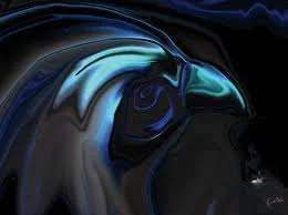 hawk.webp