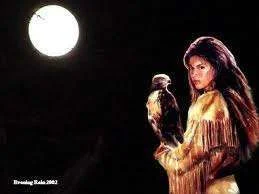 hawk1.webp